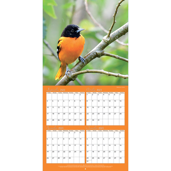 Lang Songbirds Photo Wall Calendar Wayfair